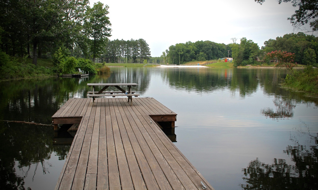 Homes for Sale in Springbrook Lake Estates Jackson Alan Castleman